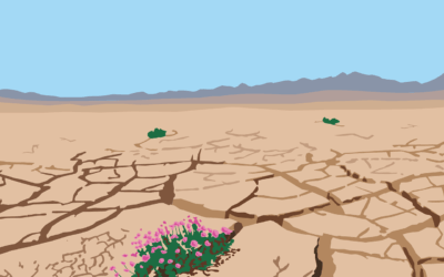 Resilence and Independence