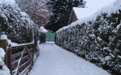 Exercise Is Everything: Why Resistance Training Saves Us When We Fall